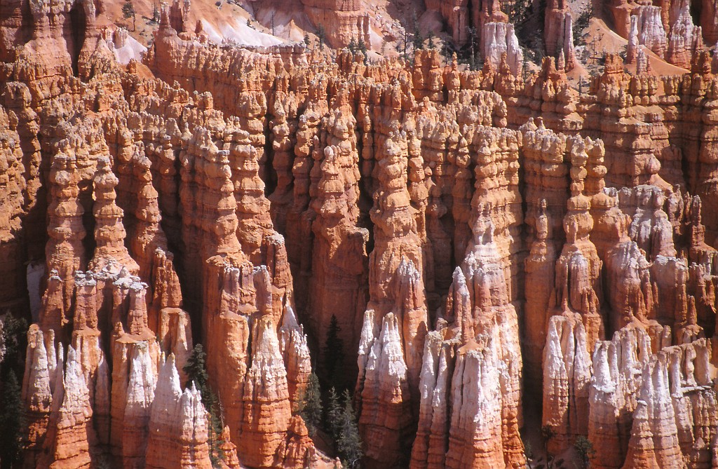 IMG_0025.jpg - Bryce-Canyon  http://en.wikipedia.org/wiki/Bryce_Canyon_National_Park 