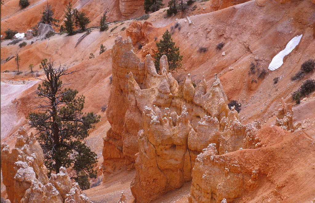 IMG_0035.jpg - Bryce-Canyon  http://en.wikipedia.org/wiki/Bryce_Canyon_National_Park 