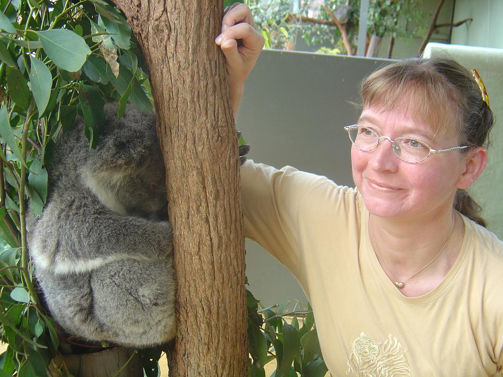 DSC02443.JPG - Sydney Taronga Zoological Park - Leonore & Koala