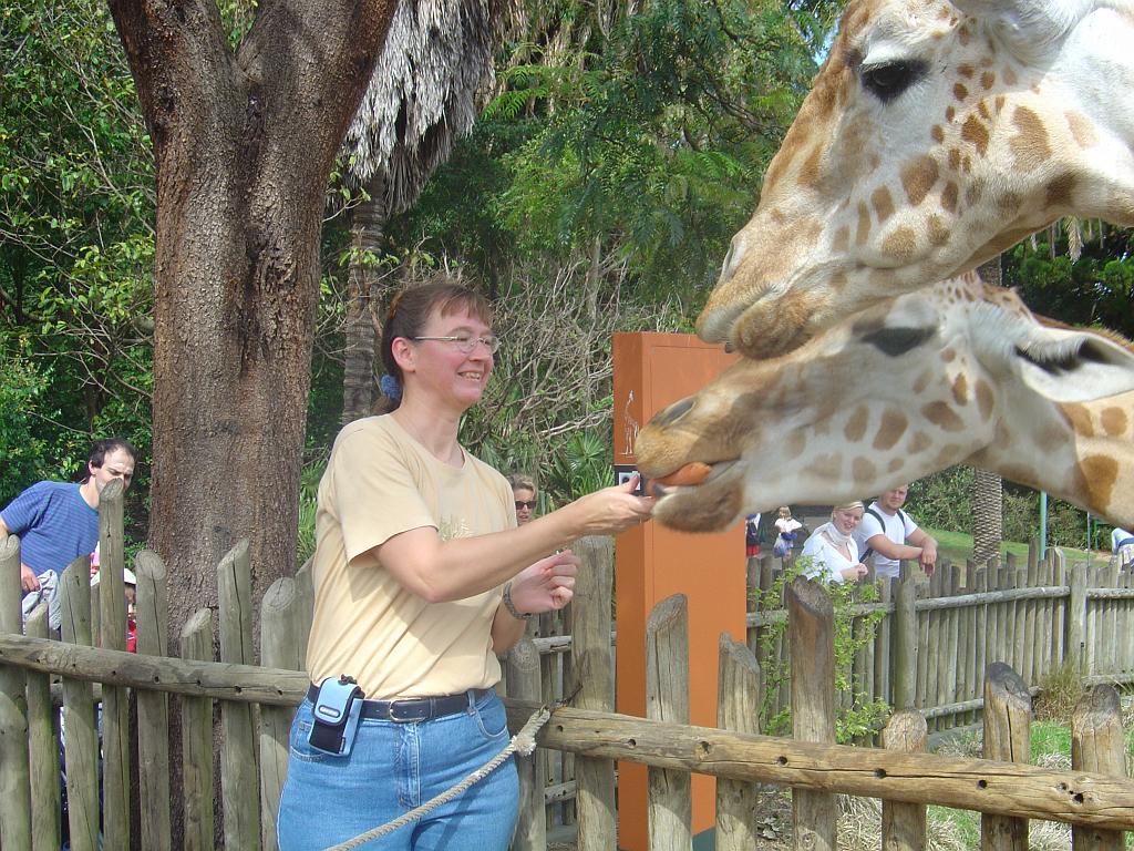 DSC02468.JPG - Sydney Taronga Zoological Park - Leonore & Giraffe