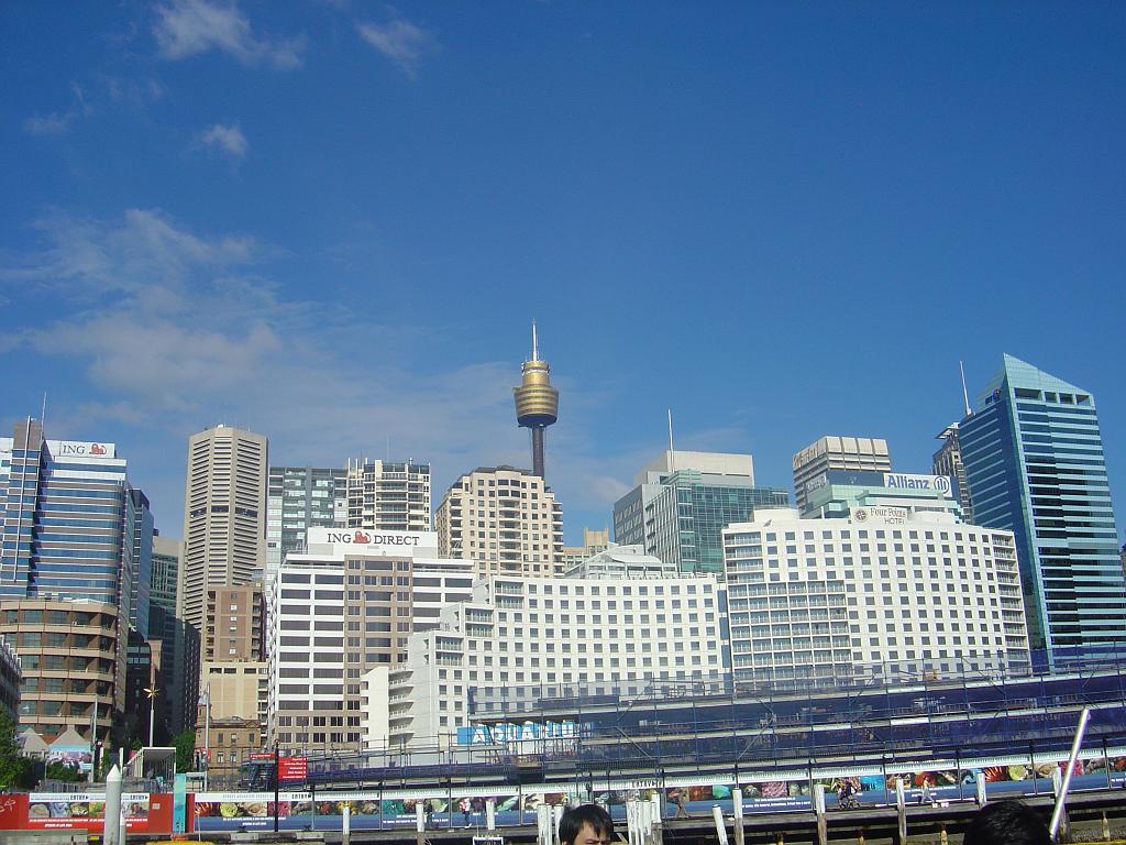 DSC02524.JPG - Sydney Aquarium & Tower