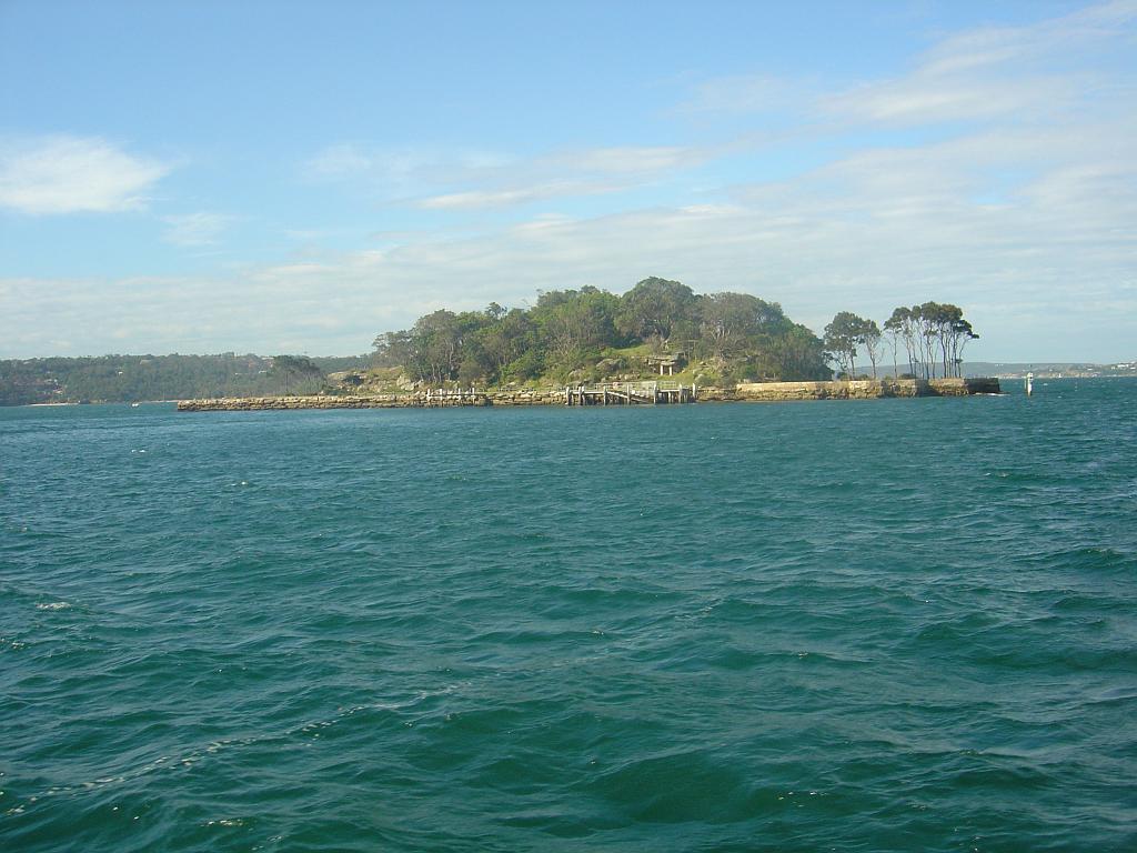 DSC02547.JPG - Clark Island in Sydney Harbour