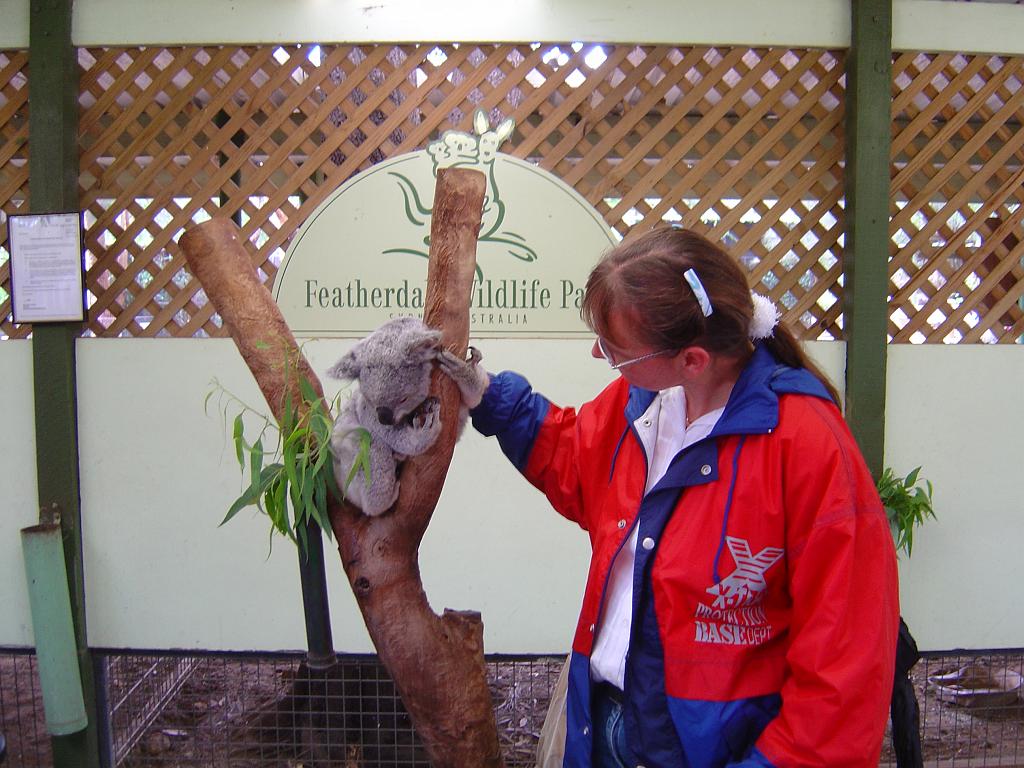 DSC02714.JPG - Featherdale Wildlife Park - Leonore & Koala