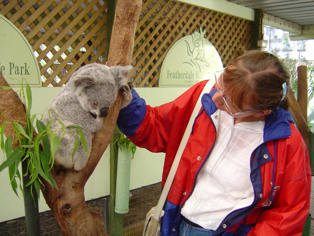 DSC02729.JPG - Featherdale Wildlife Park - Leonore & Koala