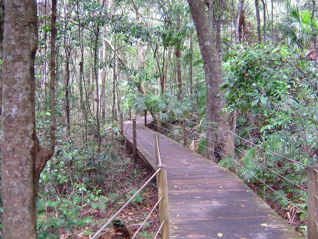 DSC02824.JPG - Sea Acres Nature Reserve and Rainforest Centre; http://www.portmacquarieinfo.com.au/accom_result1/sea-acres-nature-reserve-and-rainforest-centre/