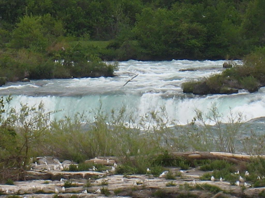 IMG_7136.JPG - Niagara Horseshoe Falls