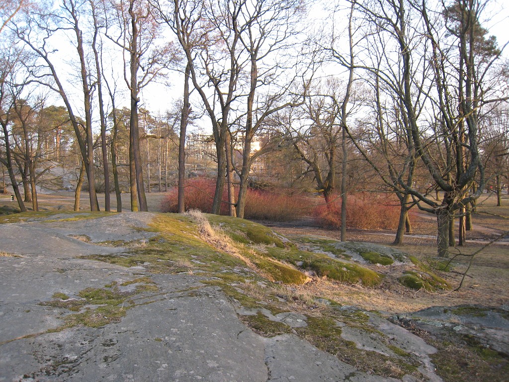 IMG_0749.JPG - Sibelius Park