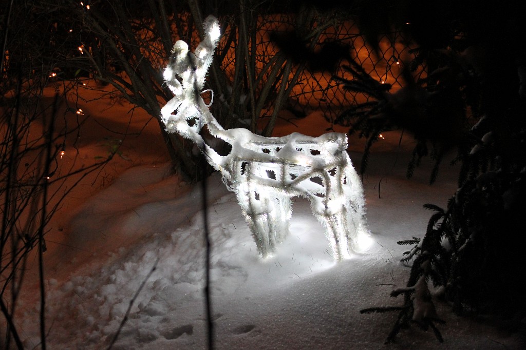 IMG_4289.JPG - Illuminated reindeer
