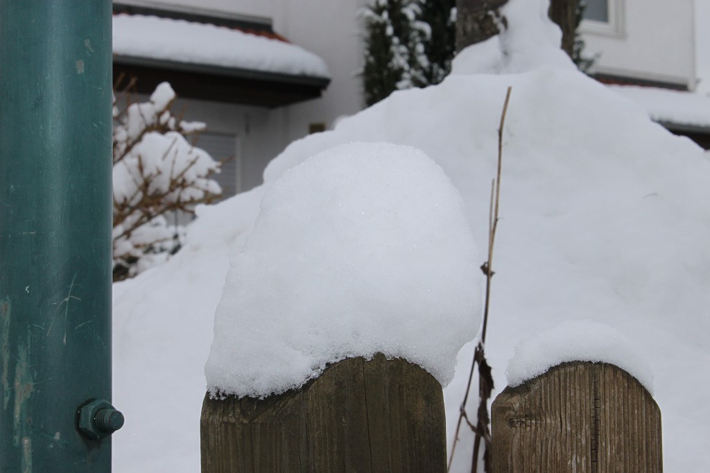 IMG_4512.JPG - Snow on the fence