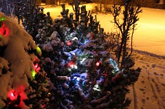 Colour christmas lights and a snowy street