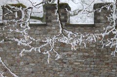 Hoar frost around Saalburg