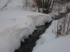 Lot of snow along a creek