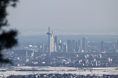 Frankfurt winter skyline