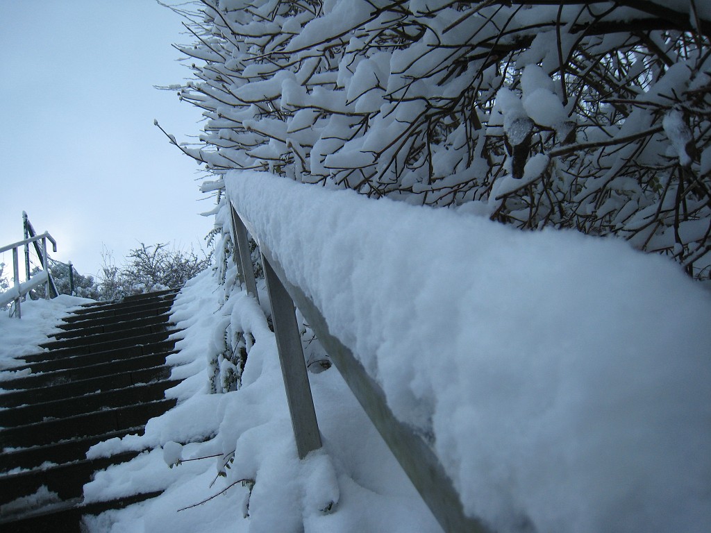 IMG_6554.JPG - Winter around Neu-Anspach