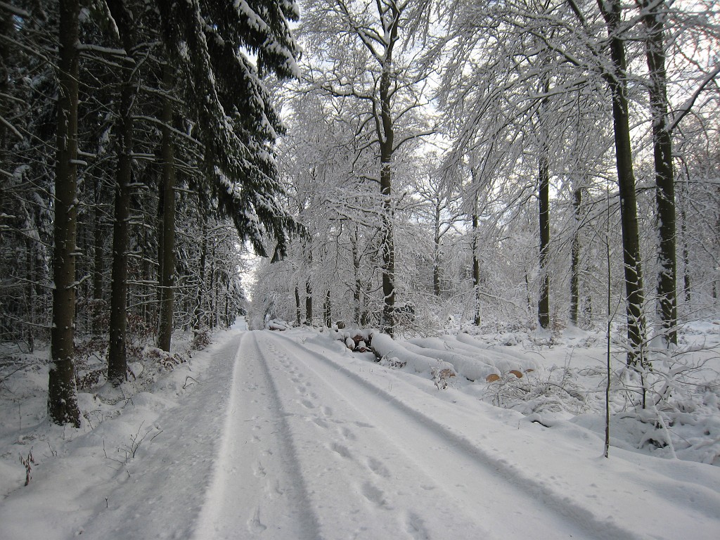 IMG_6661.JPG - Winter around Neu-Anspach