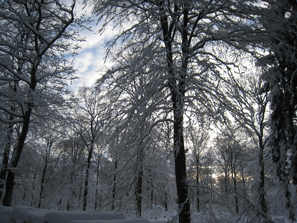 IMG_6663.JPG - Winter around Neu-Anspach