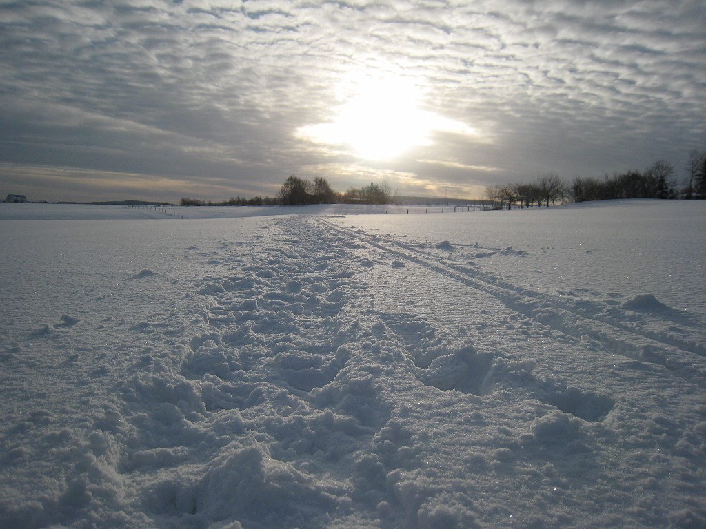 IMG_6688.JPG - Winter around Neu-Anspach