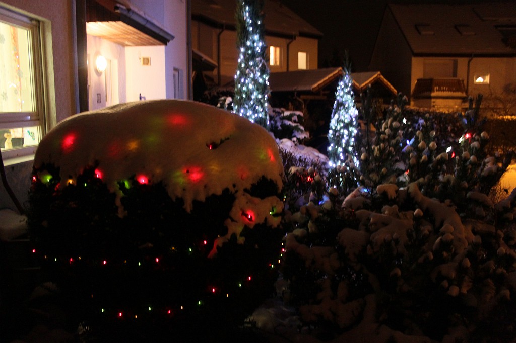 IMG_8799.JPG - Christmas decoration and snow