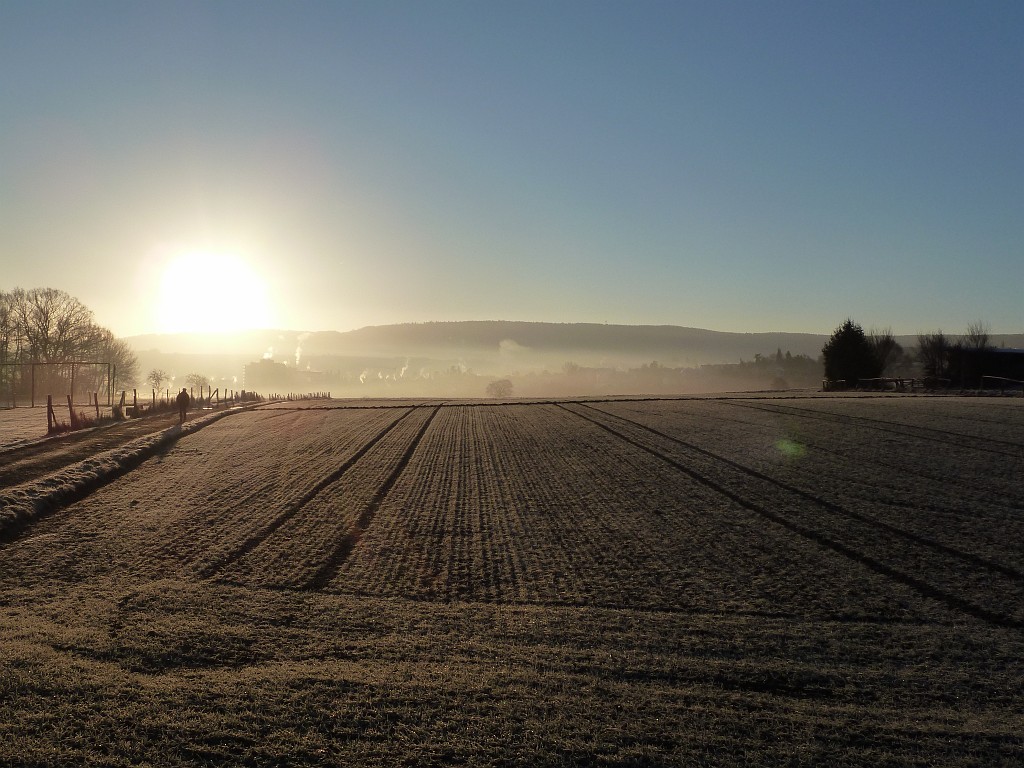 P1020282.JPG - Hoar frost morning