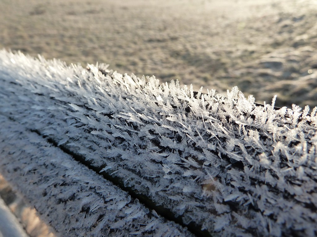 P1020598.JPG - Hoar frost