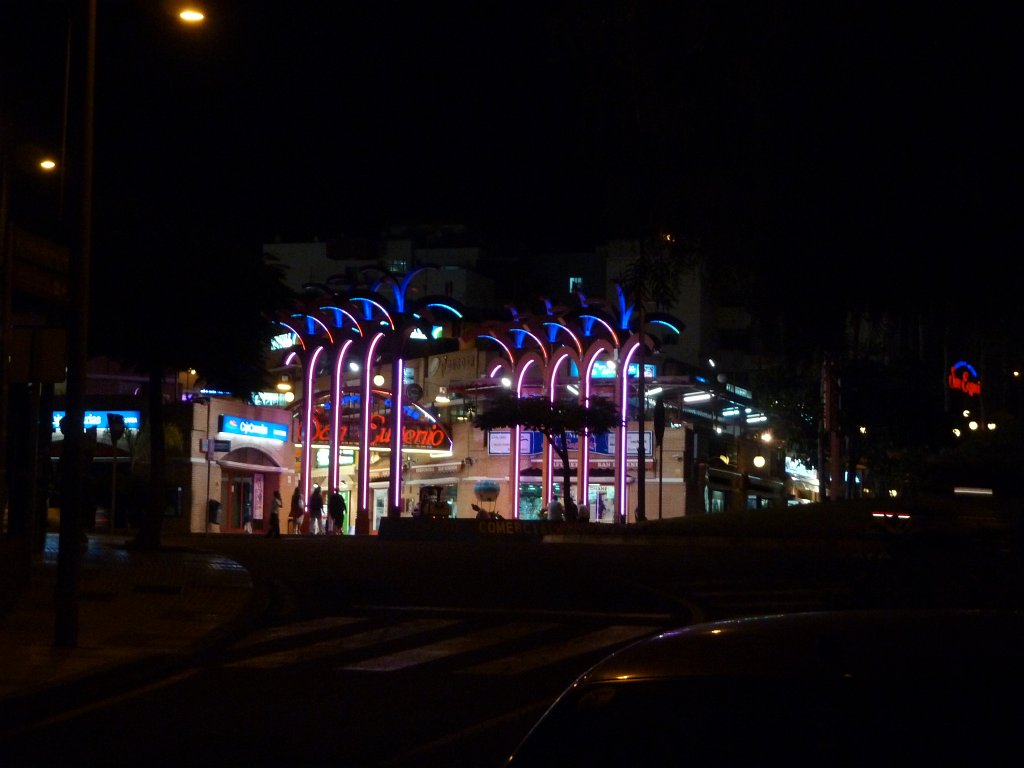 P1030996.JPG - Light palms at shopping center