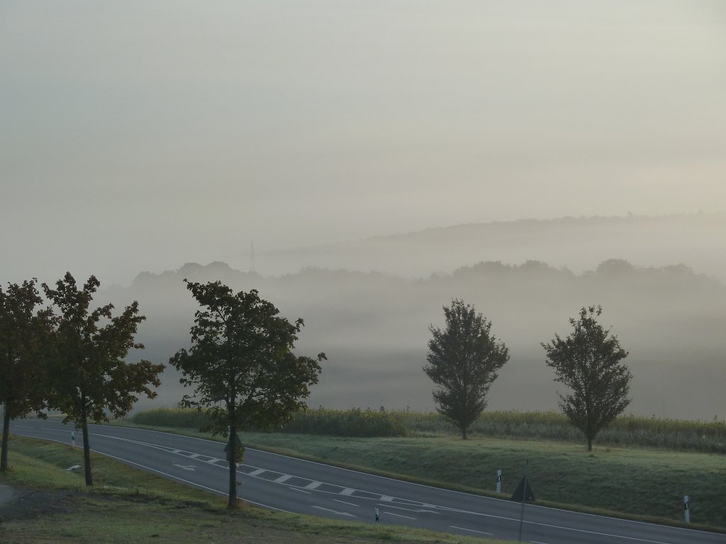 P1050030.JPG - Morning fog