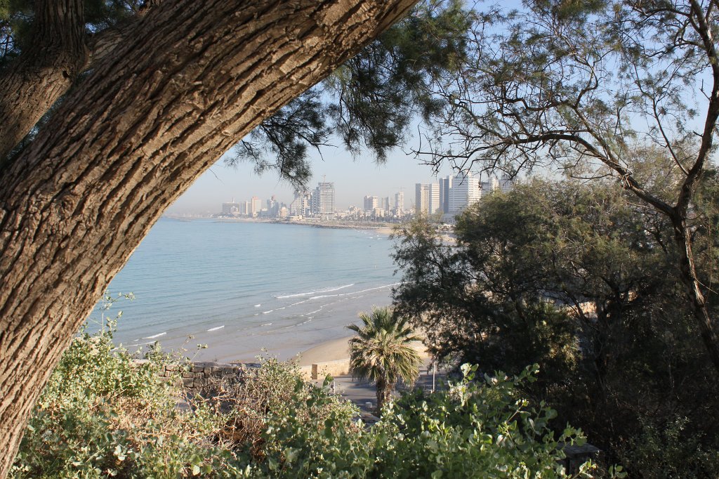 IMG_6179.JPG - Tel Aviv  http://en.wikipedia.org/wiki/Tel_Aviv , looking through trees from Old Jaffa