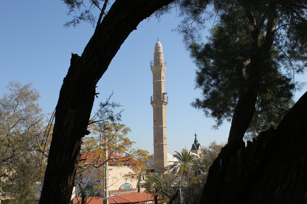 IMG_6289.JPG - Mahmoudiya Mosque  http://en.wikipedia.org/wiki/Mahmoudiya_Mosque 