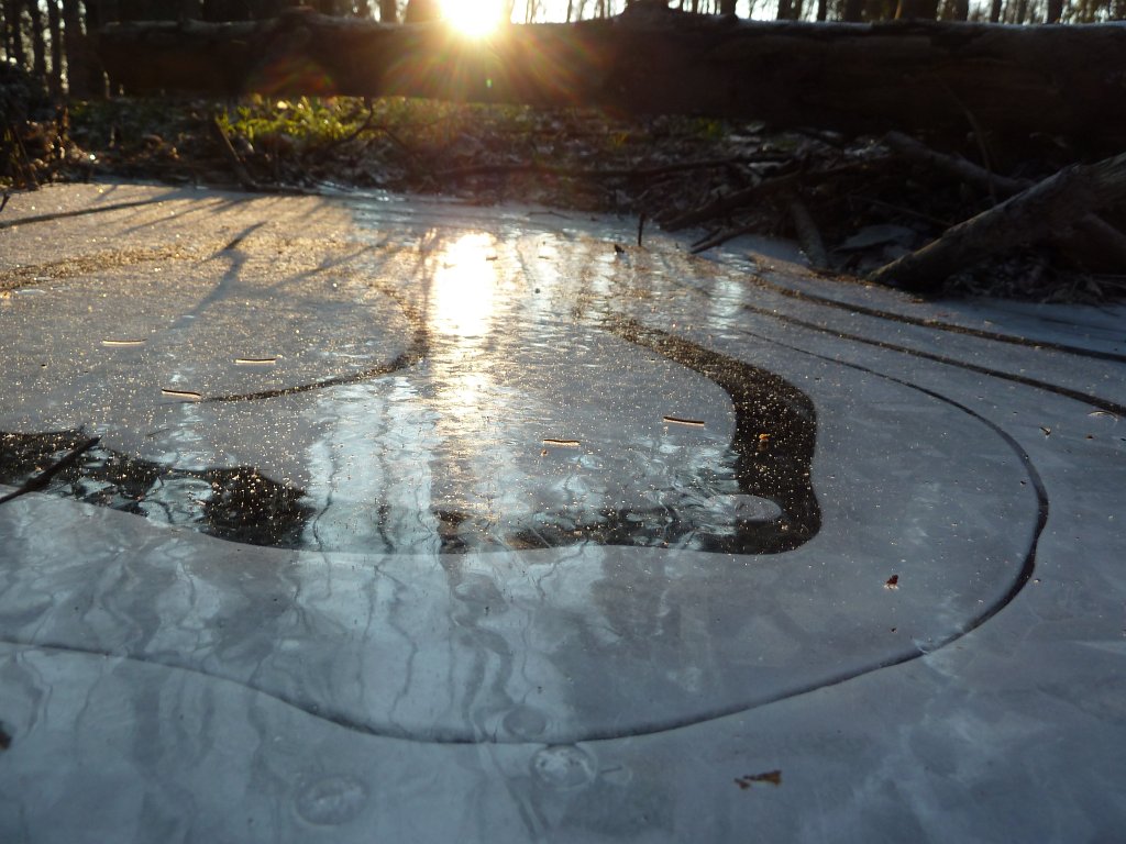 P1060111.JPG - Frozen puddle