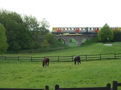 Horses & Train