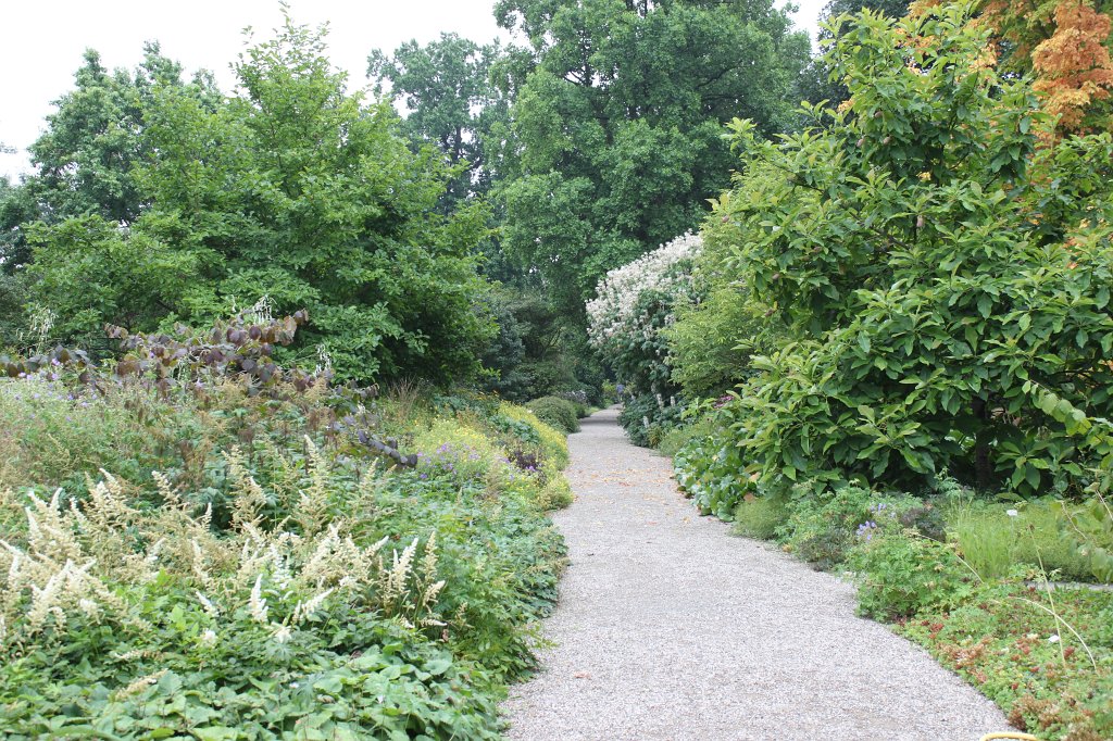 IMG_0973.JPG - Path in Herrenhausen Gardens  http://en.wikipedia.org/wiki/Herrenhausen_Gardens 