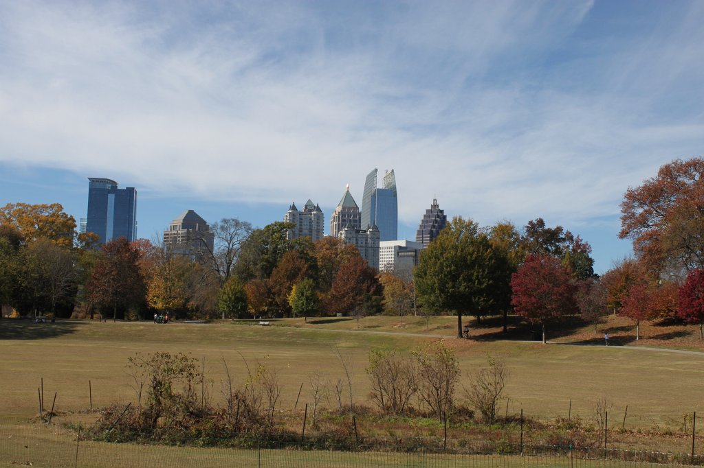 IMG_2160.JPG - Midtown Atlanta through tree  http://en.wikipedia.org/wiki/Midtown_Atlanta 