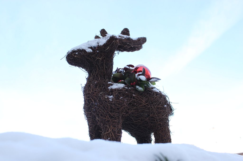 IMG_2623.JPG - Snow covered reindeer (decoration)