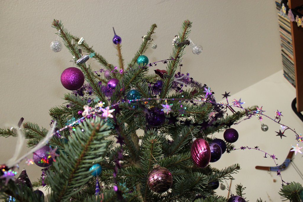 IMG_2676.JPG - Christmas tree