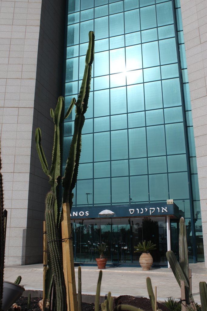 IMG_3169.JPG - Cactus garden in front of the hotel
