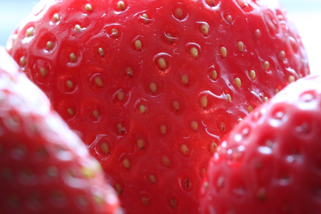 IMG_5032.JPG - Strawberries