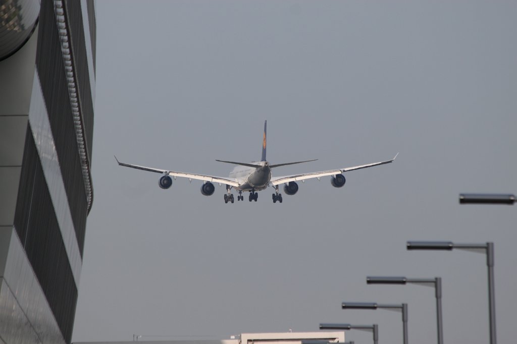 IMG_5153.JPG - Lufthansa  Airbus A340-642   D-AIHE  landing at  Frankfurt airport 