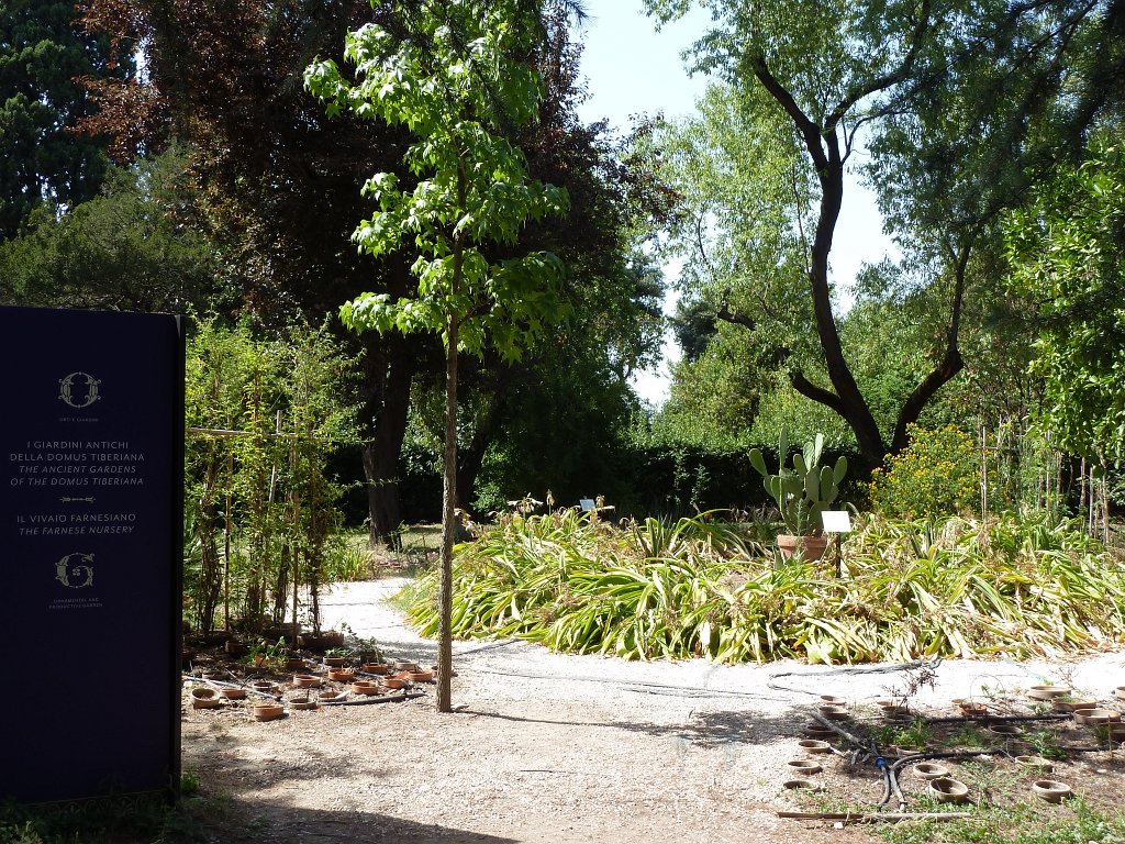 P1100359.JPG -  Farnese Gardens 