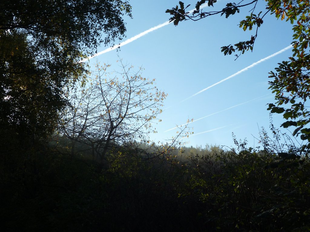 P1110043.JPG - Stripes in the sky