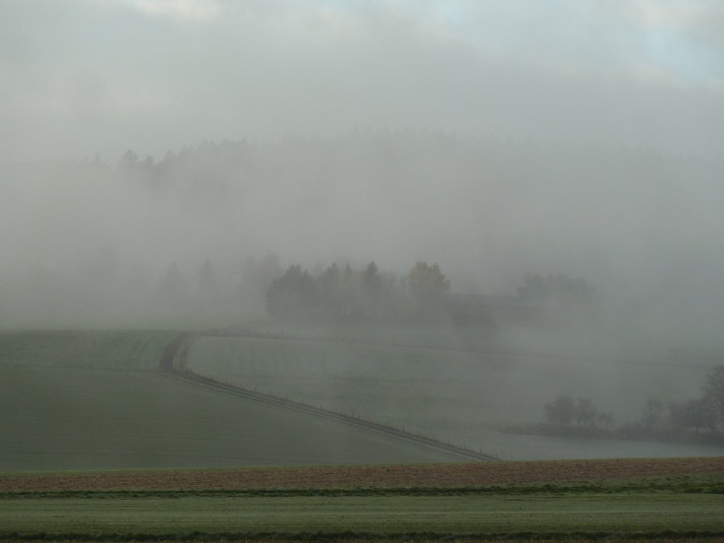 P1110106.JPG - Morning fog