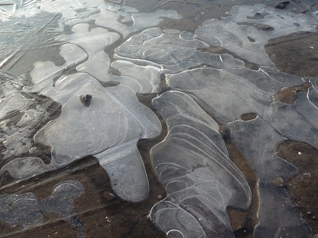 P1110396.JPG - Frozen puddle