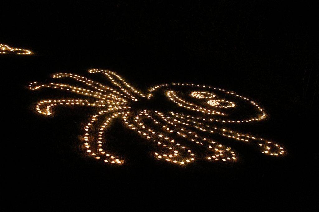 IMG_1228.JPG - The lights of the  Palmengarten  Lichterfest