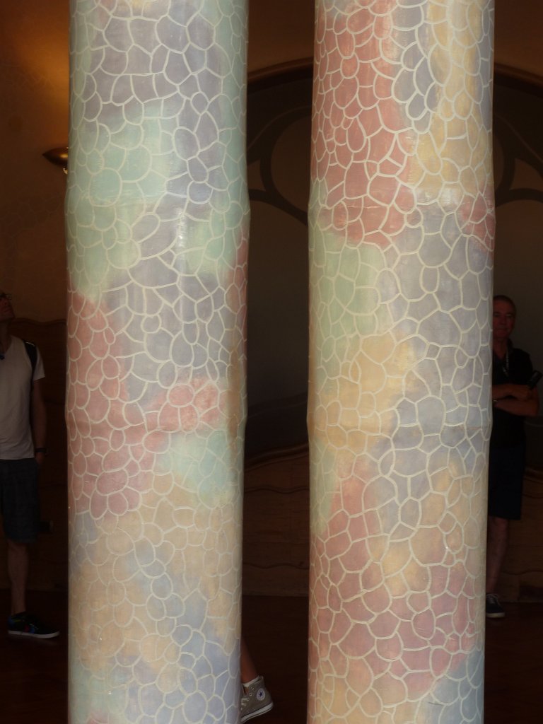 P1130244.JPG -  Casa Batlló  columns