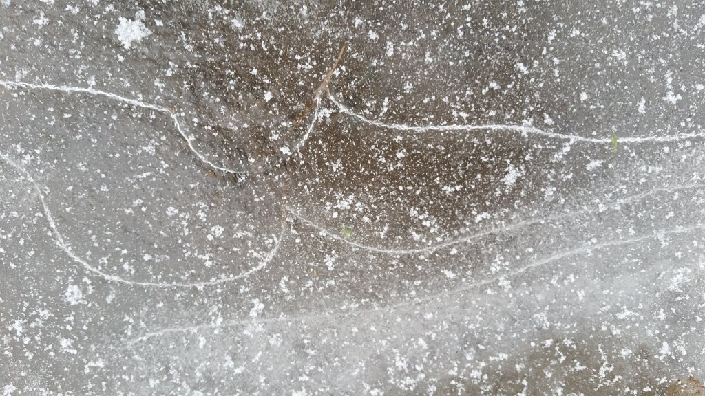 20150129_094059.jpg - Frozen puddle