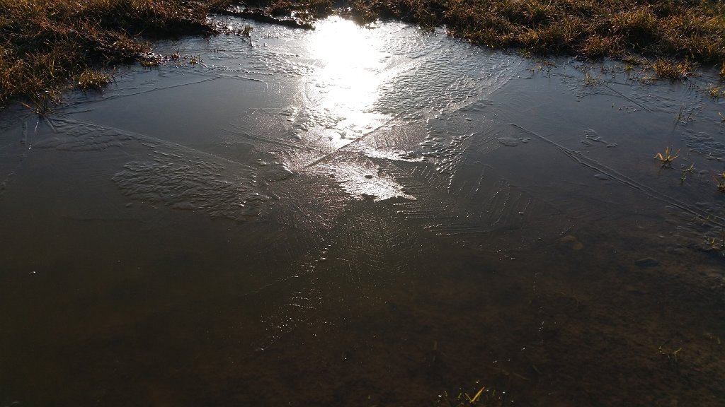 20150306_084237.jpg - Frozen puddle