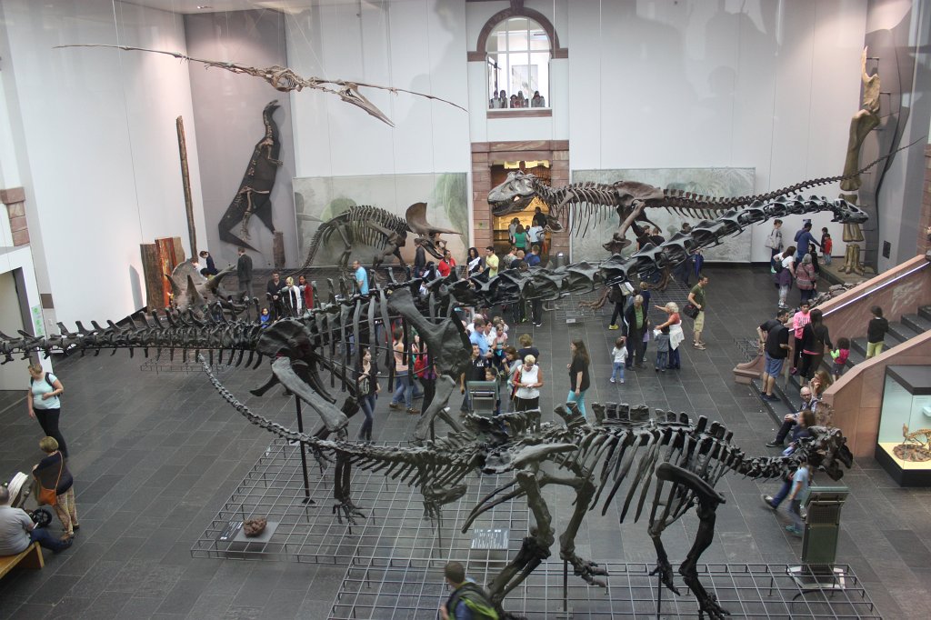 IMG_3083.JPG - Dinosaur hall at the  Naturmuseum Senckenberg 