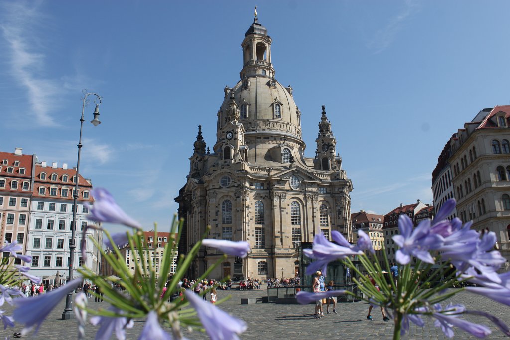 IMG_3121.JPG -  Agapanthus  with  Dresdner Frauenkirche 