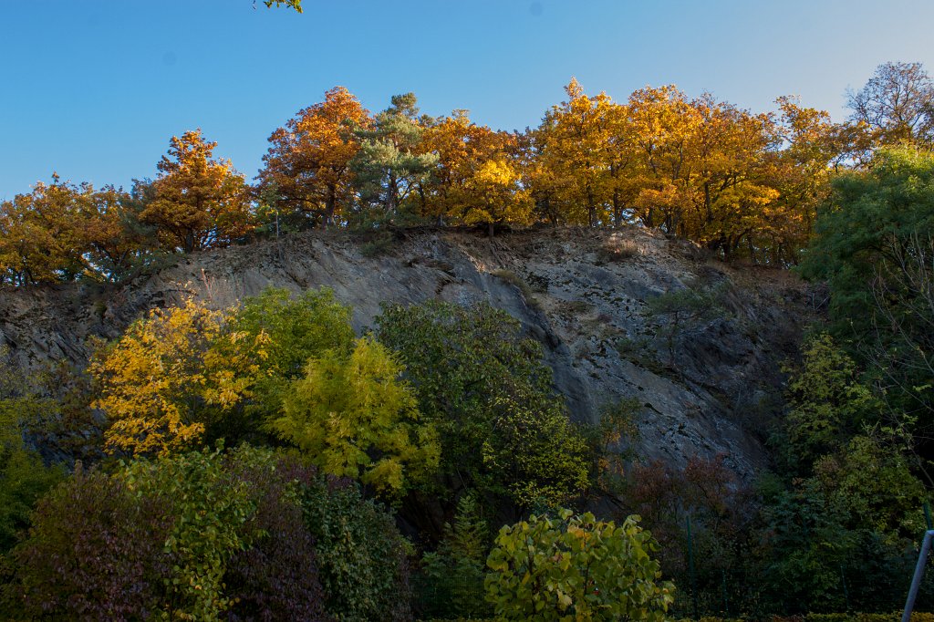 IMG_5312_c.jpg - Trees on top of the rock