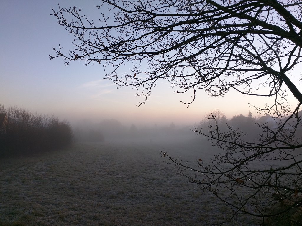 IMG_20151208_084142.jpg - Fog in the morning