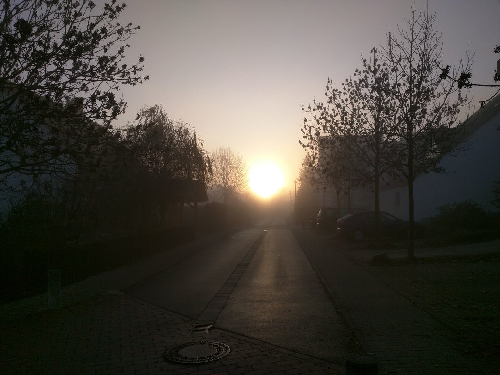 IMG_20151208_085111.jpg - Fog in the morning